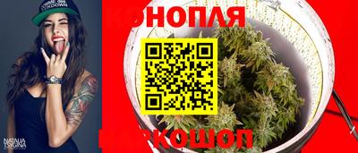 spice Новодвинск