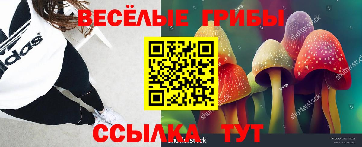 Шарыпово  Псилоцибиновые грибы Cubensis  Вход с VPN  Псилоцибиновые грибы Psilocybe 